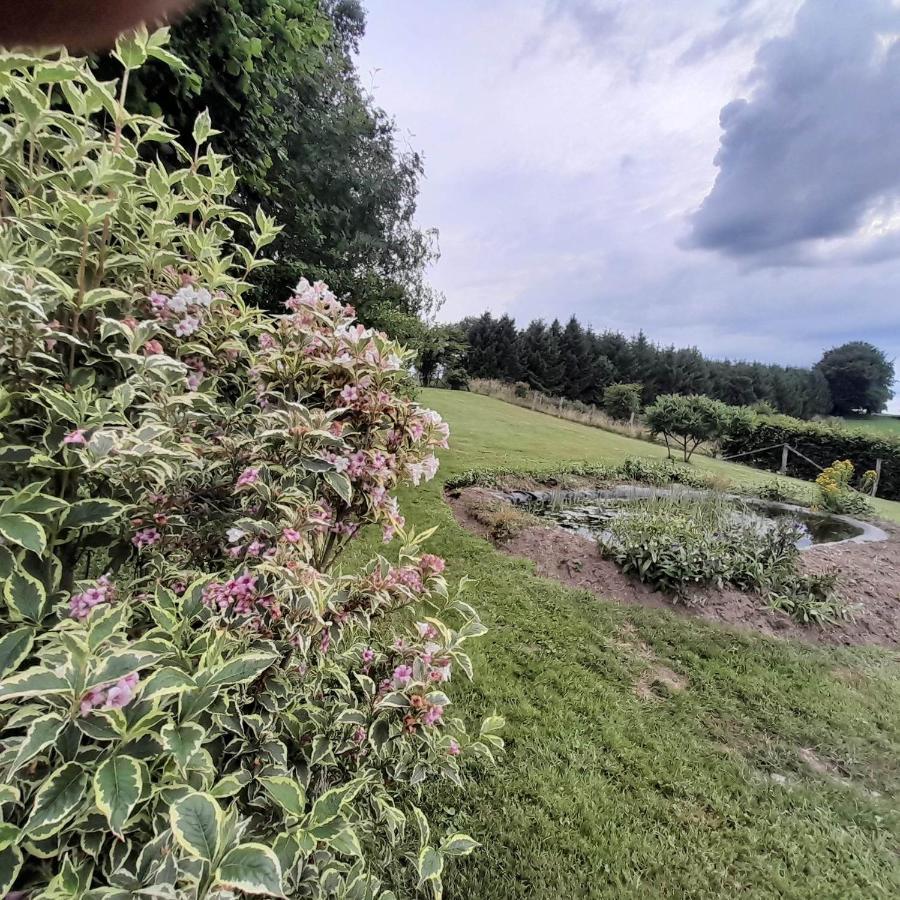 Le Gite Pierre Et Bois Houffalize Kültér fotó
